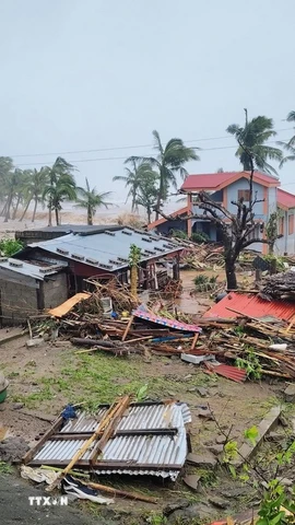 Cảnh tàn phá do siêu bão Fung-wong tại Catanduanes, Philippines. (Ảnh: THX/TTXVN)