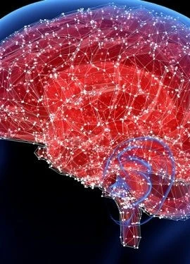 Ảnh minh họa. (Nguồn: israelhayom.com)