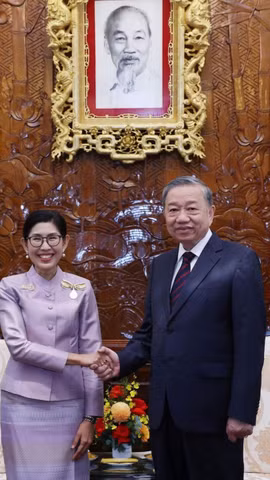 Chiều 18/10/2024, tại Phủ Chủ tịch, Tổng Bí thư, Chủ tịch nước Tô Lâm tiếp Đại sứ Vương quốc Thái Lan Urawadee Sriphiromya tới trình Quốc thư, nhận nhiệm vụ tại Việt Nam. (Ảnh: Lâm Khánh/TTXVN)