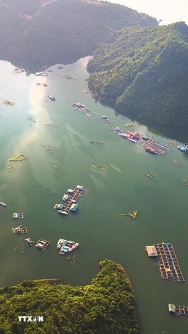 Không chỉ mang ý nghĩa to lớn về kinh tế-năng lượng, hồ Hòa Bình ngày nay đang dần khẳng định vị thế là điểm đến du lịch sinh thái, nghỉ dưỡng và trải nghiệm văn hóa hấp dẫn bậc nhất vùng trung du và miền núi phía Bắc. (Ảnh: Trọng Đạt/TTXVN)