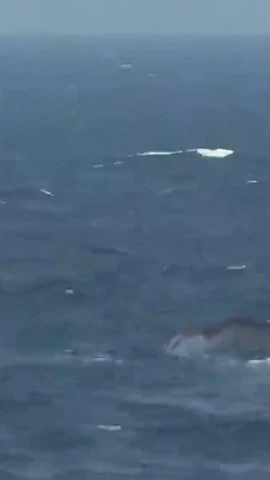 Lực lượng Bảo vệ Bờ biển Hàn Quốc tiến hành hoạt động cứu hộ sau khi một tàu cá bị lật. (Nguồn: Yonhap)