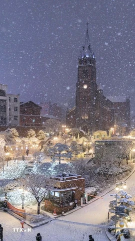 Hàn Quốc: Seoul chìm trong đợt rét đậm kỷ lục, nhiệt độ khoảng -12 độ C