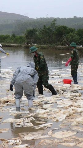 Váng dầu tràn ra ruộng sản xuất lúa của người dân xã Vạn Tường. (Ảnh: Phạm Cường/TTXVN)