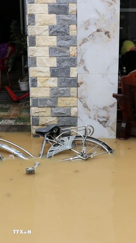 Nước lũ gây ngập khu dân cư ở xã Diên Khánh (Khánh Hòa). (Ảnh: Nguyễn Thành/TTXVN)