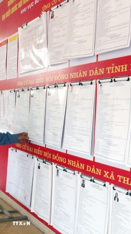 Cử tri xã Thanh Liêm tìm hiểu tiểu sử các ứng cử viên đại biểu Quốc hội và đại biểu Hội đồng Nhân dân các cấp. (Ảnh: Nguyễn Chinh/TTXVN)