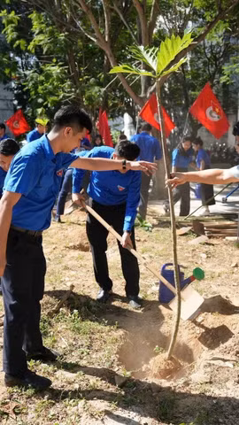 Lực lượng thanh niên thành phố Đà Nẵng trồng cây xanh. (Ảnh: Khoa Chương/TTXVN)