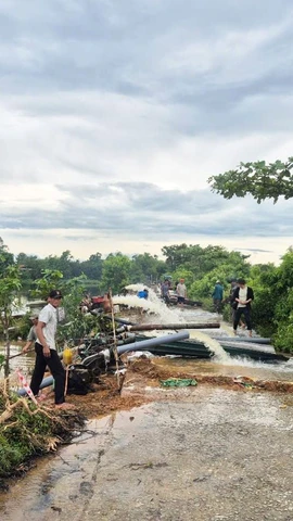 Hợp tác xã nông nghiệp Phú Hồ, xã Phú Hồ, huyện Phú Vang, thành phố Huế huy động nhân lực, máy bơm tiêu úng cứu lúa cho nông dân sau đợt mưa lớn do ảnh hưởng của bão số 1. (Ảnh: Tường Vi/TTXVN)