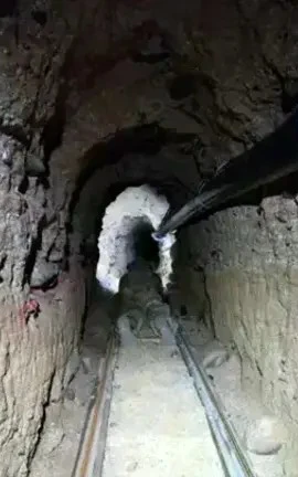 Đường hầm bí mật dài 600m. (Nguồn: Fox10)