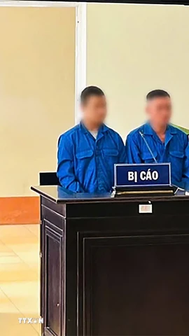 Các bị cáo tại phiên tòa xét xử. (Ảnh: TTXVN phát)