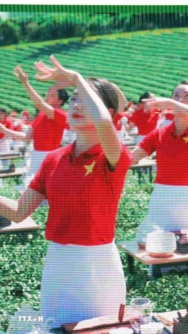 Tiết mục 1111 trà nương biểu diễn nghệ thuật trà đạo, 1 trong 4 kỷ lục Việt Nam thiết lập tại Lễ hội trà quốc tế. (Ảnh: Chu Quốc Hùng/TTXVN)