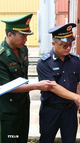 Lực lượng hải quan và bộ đội biên phòng phối hợp giám sát kho bãi container hàng hóa xuất nhập khẩu tại cảng Quy Nhơn, tỉnh Gia Lai. (Ảnh: Vũ Sinh/TTXVN)