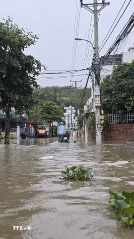 Mưa lớn gây ngập lụt diện rộng tại nhiều địa phương thuộc tỉnh Quảng Ninh. (Ảnh: Thanh Vân/TTXVN)
