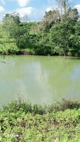 Nơi xảy ra vụ việc thương tâm. (Ảnh: TTXVN phát)