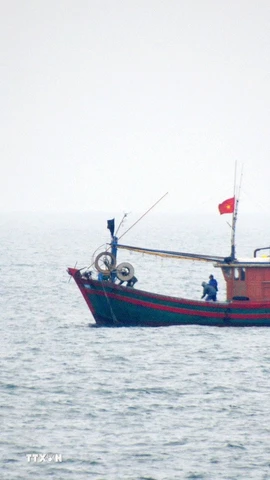 Tàu cá hoạt động trên biển. (Ảnh: TTXVN phát)