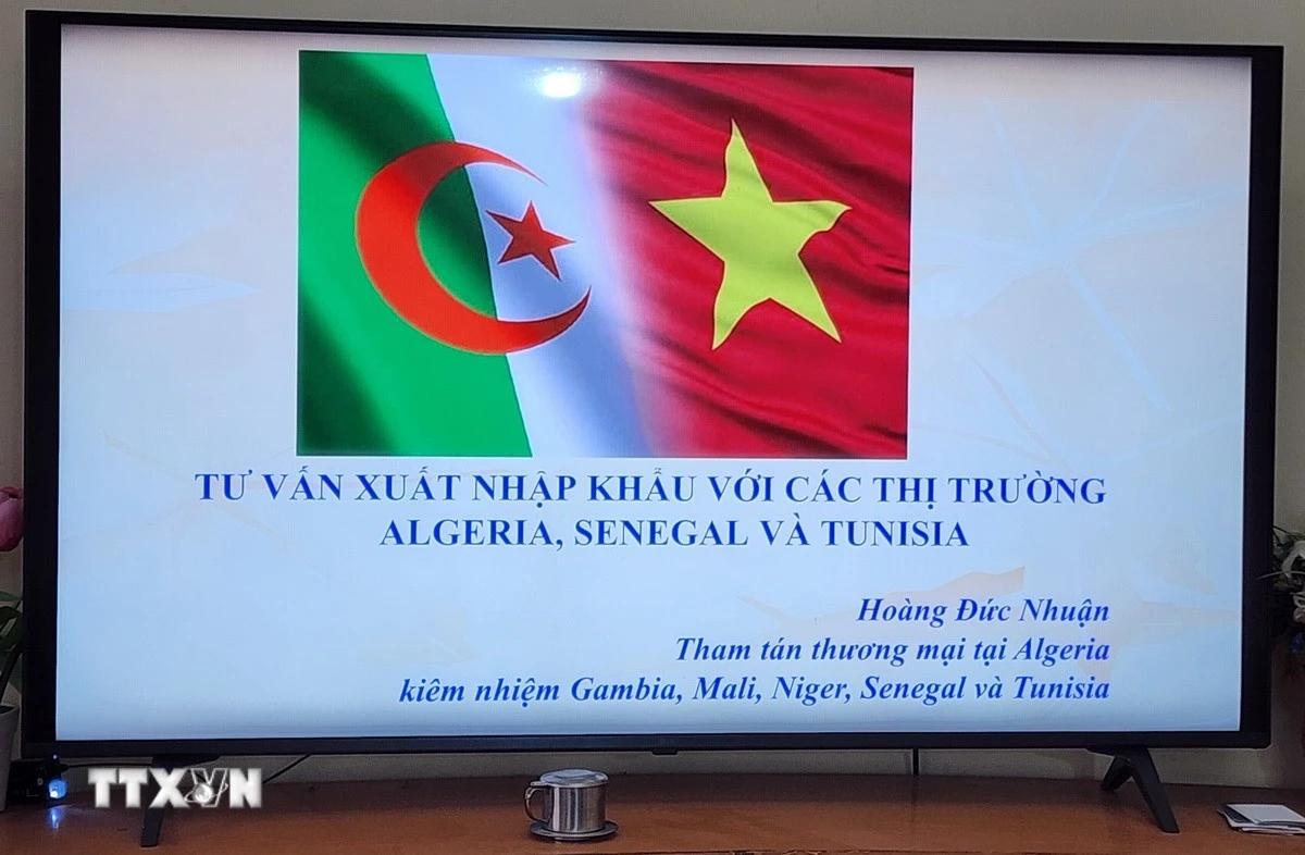 Cơ hội vàng cho doanh nghiệp Việt Nam đẩy mạnh xuất khẩu sang thị trường châu Phi