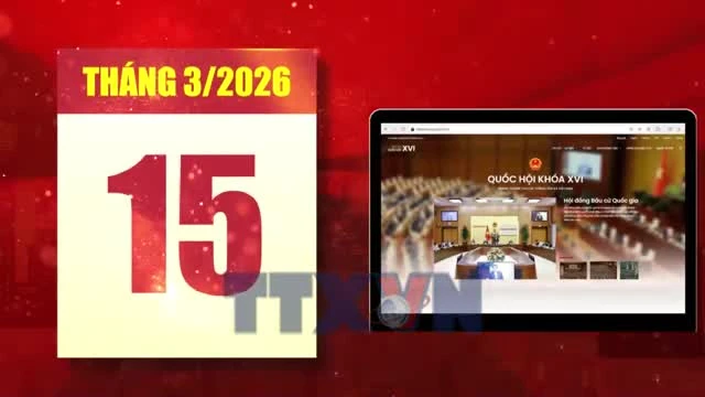 Hà Nội Đa Dạng Hóa Tuyên Truyền Bầu Cử Quốc Hội Khóa XVI Và HĐND Các Cấp