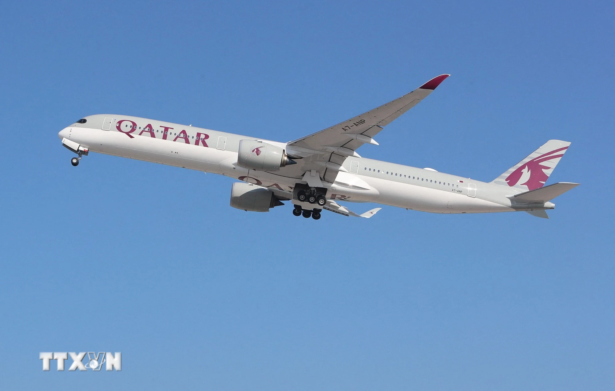 Qatar Airways Triển Khai Chuyến Bay Đặc Biệt Đưa Công Dân Rời Vùng Xung Đột