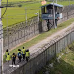 Tuyến đường mòn hòa bình DMZ, Paju, Hàn Quốc. (Ảnh: Yonhap/TTXVN)