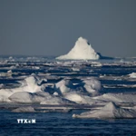 Cảnh báo hậu quả môi trường đối với vùng Bắc Cực. (Nguồn: AFP/TTXVN)