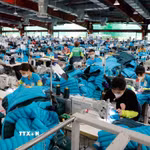 May hàng xuất khẩu tại Công ty may Maxport. (Ảnh: Trần Việt/TTXVN)