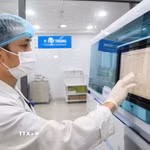 Khoa Xét nghiệm, Bệnh viện Đại học Y Dược Buôn Ma Thuột (tỉnh Đắk Lắk) đã áp dụng quy trình tự động hóa toàn bộ từ đăng ký bệnh nhân, cấp mã đến xử lý mẫu xét nghiệm. (Ảnh: TTXVN phát)