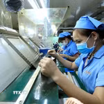 Kiểm tra sản phẩm tại Công ty Trách nhiệm hữu hạn Sankoh Việt Nam (Nhật Bản). (Ảnh: Tuấn Anh/TTXVN)