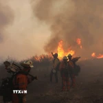 Khói lửa bốc lên từ đám cháy rừng tại California, Mỹ. (Nguồn: THX/TTXVN)