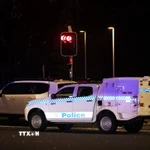 Xe cảnh sát tại hiện trường vụ tấn công khủng bố ở Sydney, Australia ngày 14/12/2025. (Nguồn: THX/TTXVN)