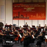 Một tiết mục tại chương trình hòa nhạc. (Ảnh: Phạm Kiên/TTXVN)