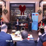 Quang cảnh buổi tiếp của Phó Thủ tướng Trần Hồng Hà với các Đại sứ, Đại biện Liên minh châu Âu và các nước thành viên. (Ảnh: Văn Điệp/TTXVN)