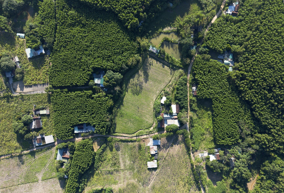 Từ một bản làng đông đúc với hàng trăm hộ dân sinh sống, bản Bình Quang, xã Châu Bình, huyện Quỳ Châu, nay đã trở thành nơi bị “lãng quên” với nhiều không “không điện, đường đường, không trường, không trạm, không sóng điện thoại." (Ảnh: Văn Tý/TTXVN)