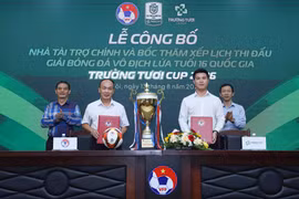 Vòng loại Giải Bóng đá Vô địch lứa tuổi 16 Quốc gia - Trường Tươi Cup 2026 sẽ diễn ra từ ngày 22/8 đến ngày 29/11/2026. (Ảnh: VFF)