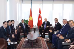 Tổng Bí thư, Chủ tịch nước Tô Lâm gặp Tổng thống Thổ Nhĩ Kỳ Recep Tayyip Erdogan. (Ảnh: Thống Nhất/TTXVN)