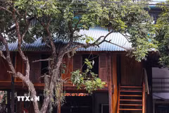 Những ngôi nhà sàn ở bản Pom Coọng thường được làm bằng tre hoặc bương và cách mặt đất khoảng 2m bằng những cột gỗ chắc chắn, xây thành từng cụm và theo lối kiểu kiến trúc truyền thống. (Ảnh: Trọng Đạt/TTXVN)