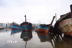 Vụ hỏa hoạn làm nhiều tàu cá bị thiêu rụi. (Ảnh: Sỹ Thắng/TTXVN)