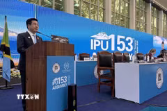 Phó Chủ tịch Quốc hội Nguyễn Hồng Diên phát biểu tại Phiên thảo luận chung cấp cao Đại hội đồng lần thứ 153 của Liên minh Nghị viện Thế giới (IPU-153). (Ảnh: Hoàng Nhương/TTXVN)