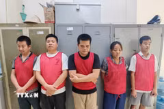 Các đối tượng tại Cơ quan điều tra. (Ảnh: TTXVN phát)