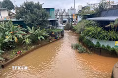 Nhiều nhà cửa của người dân trên địa bàn phường Pleiku, tỉnh Gia Lai ngập sâu trong nước. (Ảnh: Hoài Nam/TTXVN)