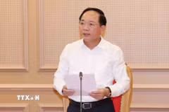 Đồng chí Trịnh Văn Quyết, Ủy viên Bộ Chính trị, Bí thư Trung ương Đảng, Trưởng Ban Tuyên giáo Trung ương, Trưởng đoàn Kiểm tra, giám sát số 229, phát biểu tại Hội nghị ở điểm cầu Hà Nội. (Ảnh: Phương Hoa/TTXVN)