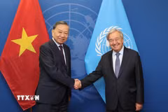 Tổng Bí thư, Chủ tịch nước Tô Lâm gặp Tổng Thư ký Liên hợp quốc António Guterres. (Ảnh: Thống Nhất/TTXVN)