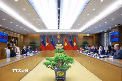 Thủ tướng Lê Minh Hưng hội đàm với Thủ tướng Công quốc Liechtenstein Brigitte Haas. (Ảnh: Dương Giang/TTXVN)