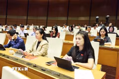 Các đại biểu dự Kỳ họp thứ hai, Quốc hội khóa XVI. (Ảnh: Minh Đức/TTXVN)