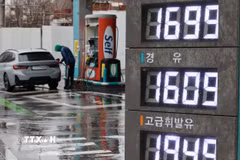 Giá xăng dầu được niêm yết tại trạm xăng ở Seoul, Hàn Quốc. (Nguồn: Yonhap/TTXVN)