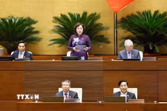 Phó Chủ tịch Quốc hội Nguyễn Thị Hồng phát biểu. (Ảnh: Doãn Tấn/TTXVN)