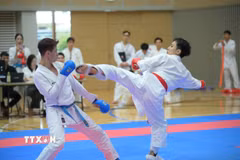 Một pha ra đòn quyết liệt trong một trận đấu trong khuôn khổ giải đấu. (Ảnh: Nguyễn Tuyến/TTXVN)