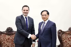 Phó Thủ tướng, Bộ trưởng Ngoại giao Bùi Thanh Sơn tiếp Bộ trưởng đặc trách Ngoại thương và Người Pháp ở nước ngoài Laurent Saint-Martin. (Ảnh: An Đăng/TTXVN)