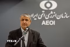 Người đứng đầu Tổ chức Năng lượng Nguyên tử Iran Mohammad Eslami. (Ảnh: IRNA/TTXVN)