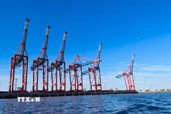 Cảng Hamburg, cảng lớn nhất của Đức. (Ảnh: TTXVN phát)