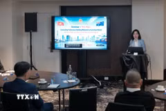 Bà Trần Thị Thanh Mỹ, Trưởng Cơ quan Thương vụ Việt Nam tại Australia, phát biểu khai mạc hội thảo. (Ảnh: Trung Trang/TTXVN)