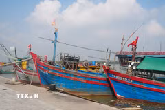Một góc bến cá Lạch Trường (xã Hoằng Tiến, tỉnh Thanh Hóa). (Ảnh: Hoa Mai/TTXVN)